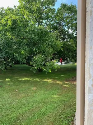 Jardin de l'établissement Uniquely Private Holiday Villa in the Charente
