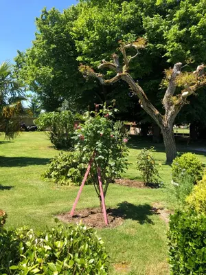 Jardin de l'établissement Chambres d hôtes Villa Anani Cosson alex