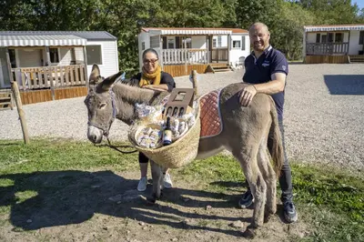 Animaux dans le camping ou à proximité