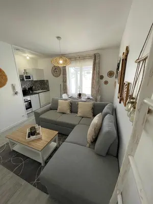 Coin salon dans l'établissement Le Bohème - Centre Ville, Netflix et WIFI, parking, idéal familles, couples et voyages d'affaire