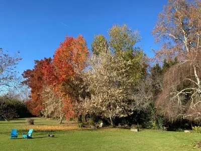 Jardin de l'établissement La Lezardiere