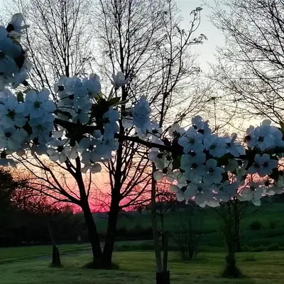 Lever ou coucher de soleil vu de la maison de vacances ou à proximité