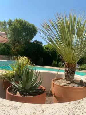 Piscine de l'établissement Le Hangar ou située à proximité