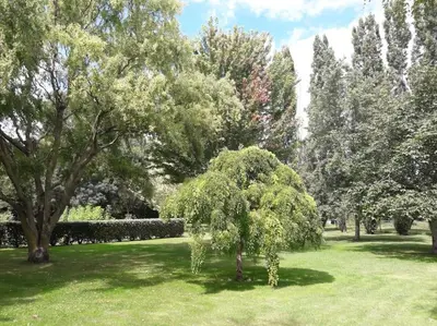 Jardin de l'établissement Logis de LANGE apt les Ecureuils