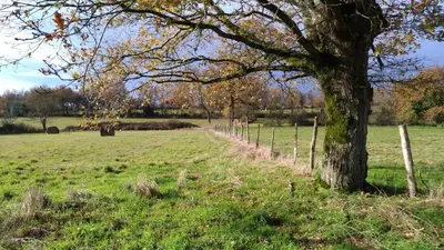Paysage naturel près de la maison de vacances