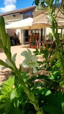 Jardin de l'établissement Le Petit courault