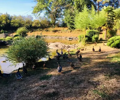Jardin de l'établissement Le refuge des canards