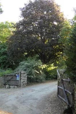 Paysage naturel près de la maison d'hôtes