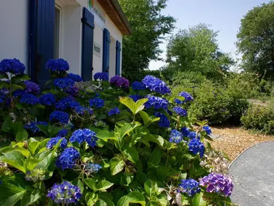Jardin de l'établissement Villa in Les Forges with Golf & Pool Access