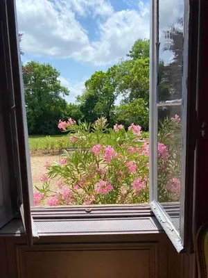Jardin de l'établissement Manoir majestueux à Chaniers avec piscine privée