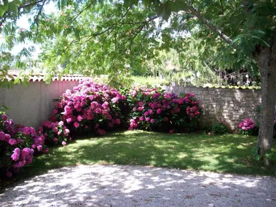 Jardin de l'établissement Le Petit Massigny