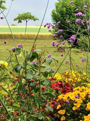 Jardin de l'établissement lagalerne