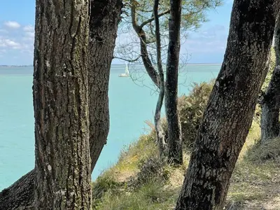 Paysage naturel près de l'appartement