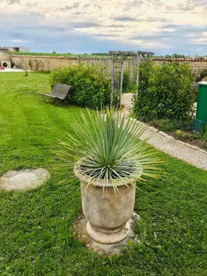 Jardin de l'établissement La Belle Parenthèse