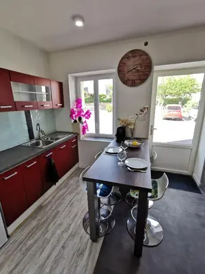 Cuisine ou kitchenette dans l'établissement Charmant studio La Forge