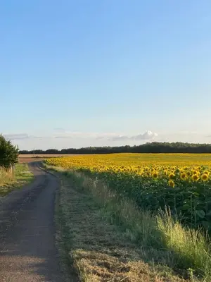 Paysage naturel près de la maison de vacances