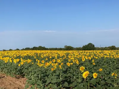 Paysage naturel près de la maison de vacances