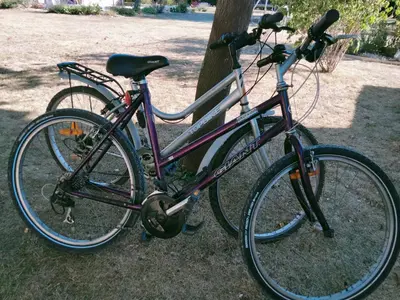 Vélo sur le terrain de l'établissement Les Chambres de Moulière ou dans les environs