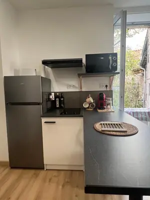 Cuisine ou kitchenette dans l'établissement Le Bjorn - T1 chaleureux refait à neuf - Centre