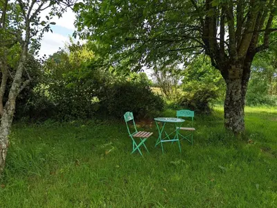 Jardin de l'établissement Spacieuse maison à Massignac avec jardin privatif - FR-1-653-213