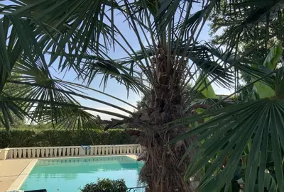 Piscine de l'établissement Dugal Cottage ou située à proximité