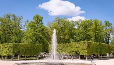Jardin de l'établissement Le Michigan, studio à 5 min du centre-ville