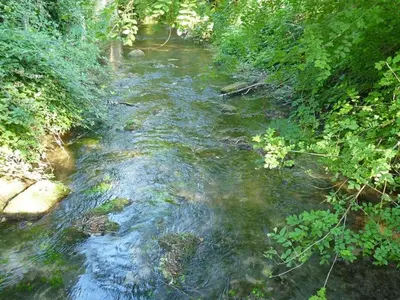 Paysage naturel près de la maison de vacances