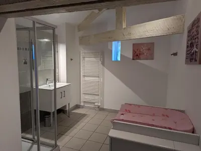 Salle de bains dans l'établissement Gîte spacieux avec piscine privée et jardin, idéal pour familles avec animaux - FR-1-653-67