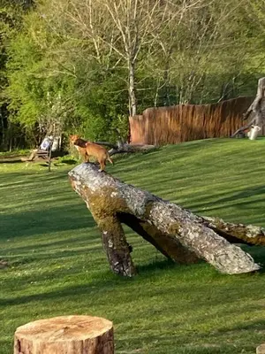 Jardin de l'établissement Virolet Barn