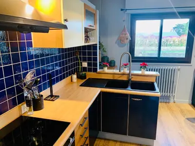 Cuisine ou kitchenette dans l'établissement 
