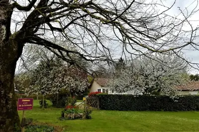 Jardin de l'établissement Calme et sérénité au gîte des hortensias