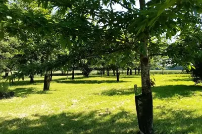 Jardin de l'établissement Calme et sérénité au gîte des hortensias