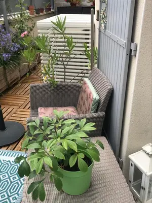 Coin salon dans l'établissement Pavillon 50 m² avec terrasse