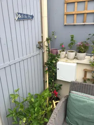 Jardin de l'établissement Pavillon 50 m² avec terrasse
