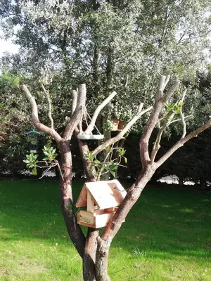 Jardin de l'établissement Le 26