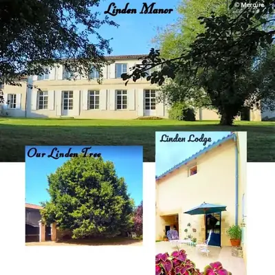 Linden Lodge Stays