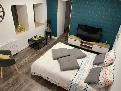 Télévision ou salle de divertissement dans l'établissement Gîte La Rive Gauche