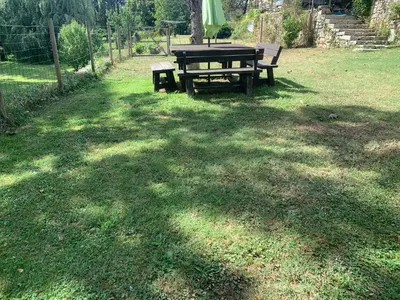Jardin de l'établissement Maison des Roses