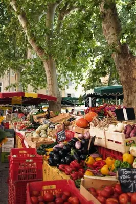 Nourriture dans l'appartement ou à proximité