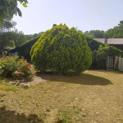 Jardin de l'établissement gite des Ecuries du Seillery