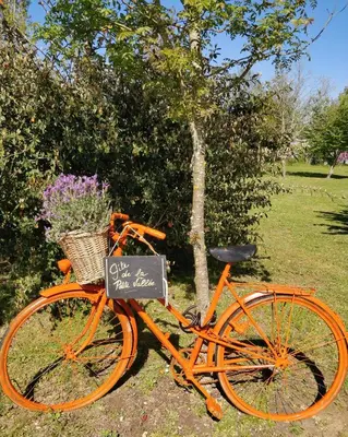 Vélo sur le terrain de l'établissement Gîte de la Petite vallée ou dans les environs