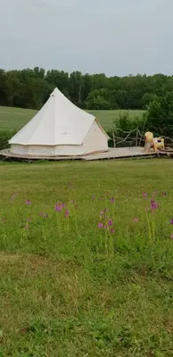 Plan de l'établissement Camping La Petite Houmée