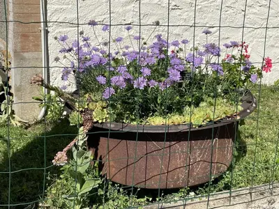 Jardin de l'établissement Le balet