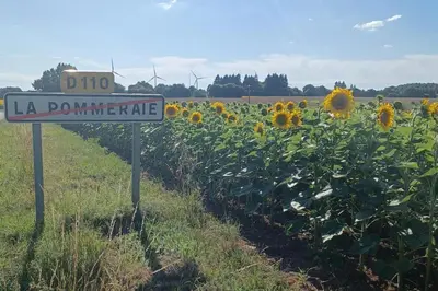 Plan de l'établissement 9 Guests - Pet Friendly in rural West France
