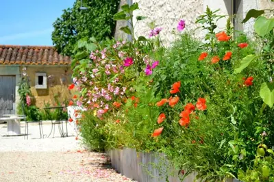 Jardin de l'établissement Grand gîte écologique à la campagne et accessible