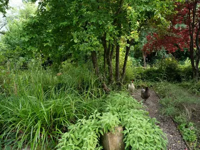 Jardin de l'établissement Pont Vieux